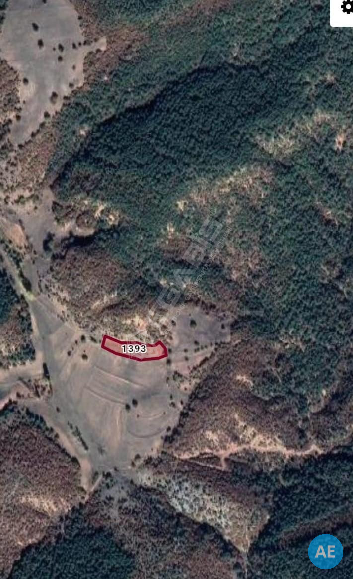 Ankara Nallıhan Bölgesinde Satılık Tarla. - 3