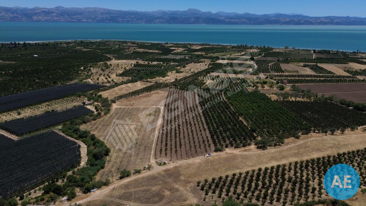 ISPARTA EĞİRDİR BARLADA SATILIK KAYISI BAHÇESİ - 2