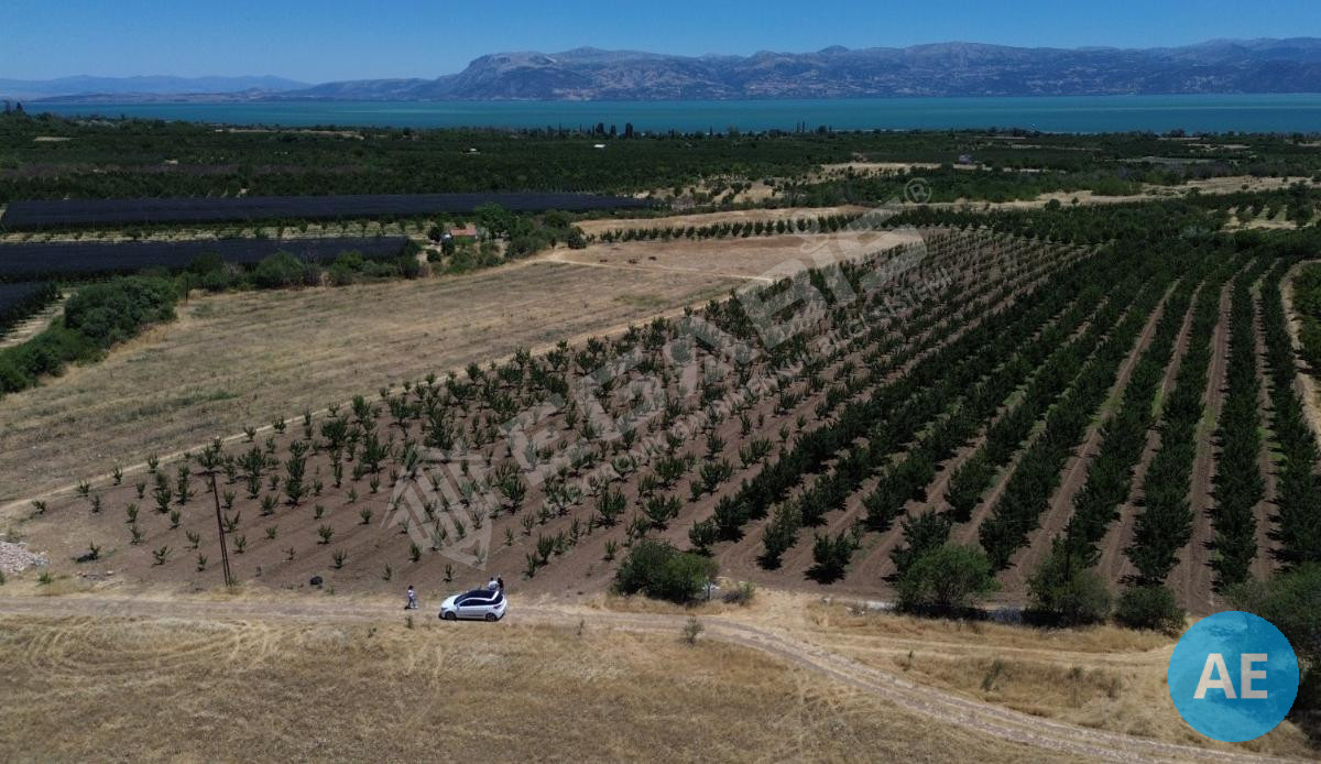 ISPARTA EĞİRDİR BARLADA SATILIK KAYISI BAHÇESİ - 3