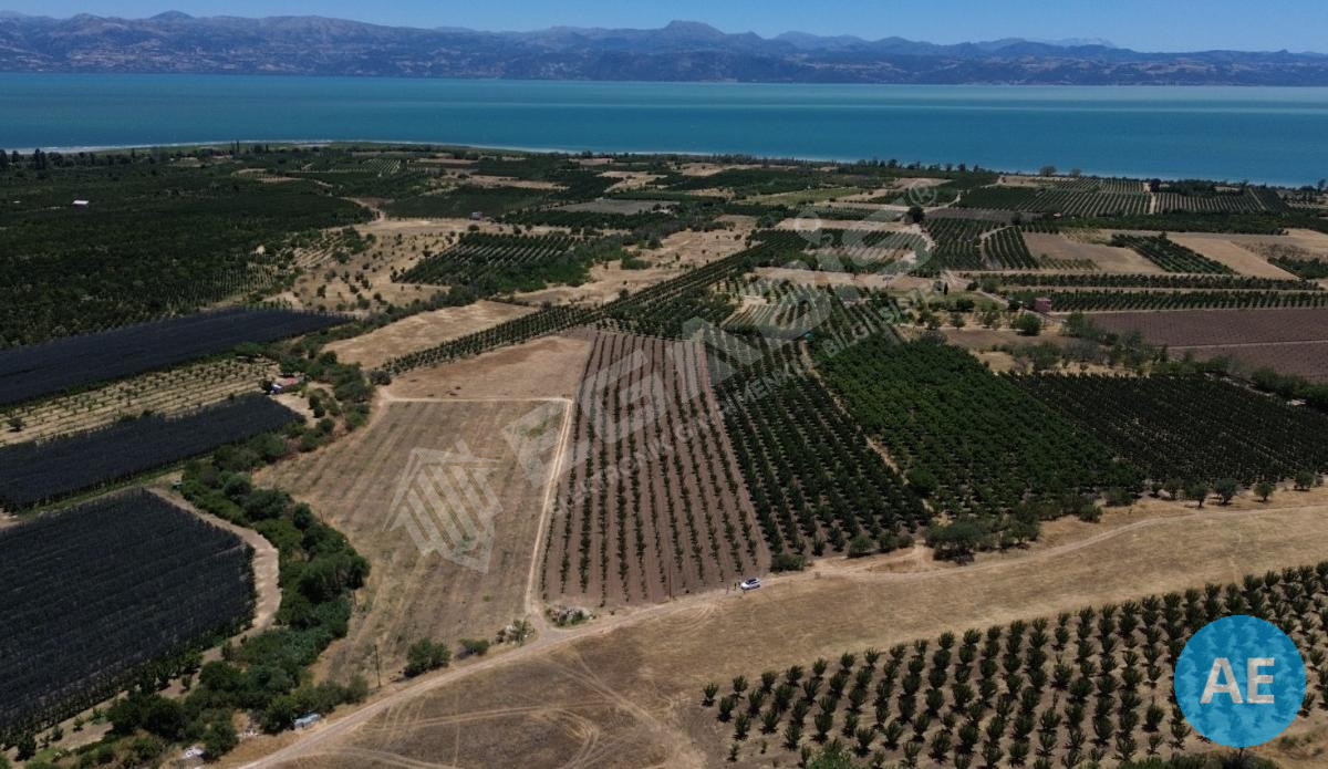 ISPARTA EĞİRDİR BARLADA SATILIK KAYISI BAHÇESİ