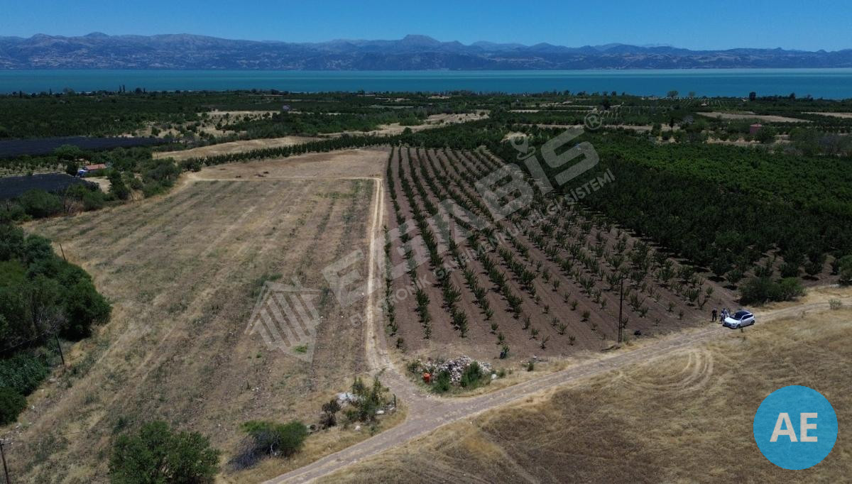 ISPARTA EĞİRDİR BARLADA SATILIK KAYISI BAHÇESİ - 5