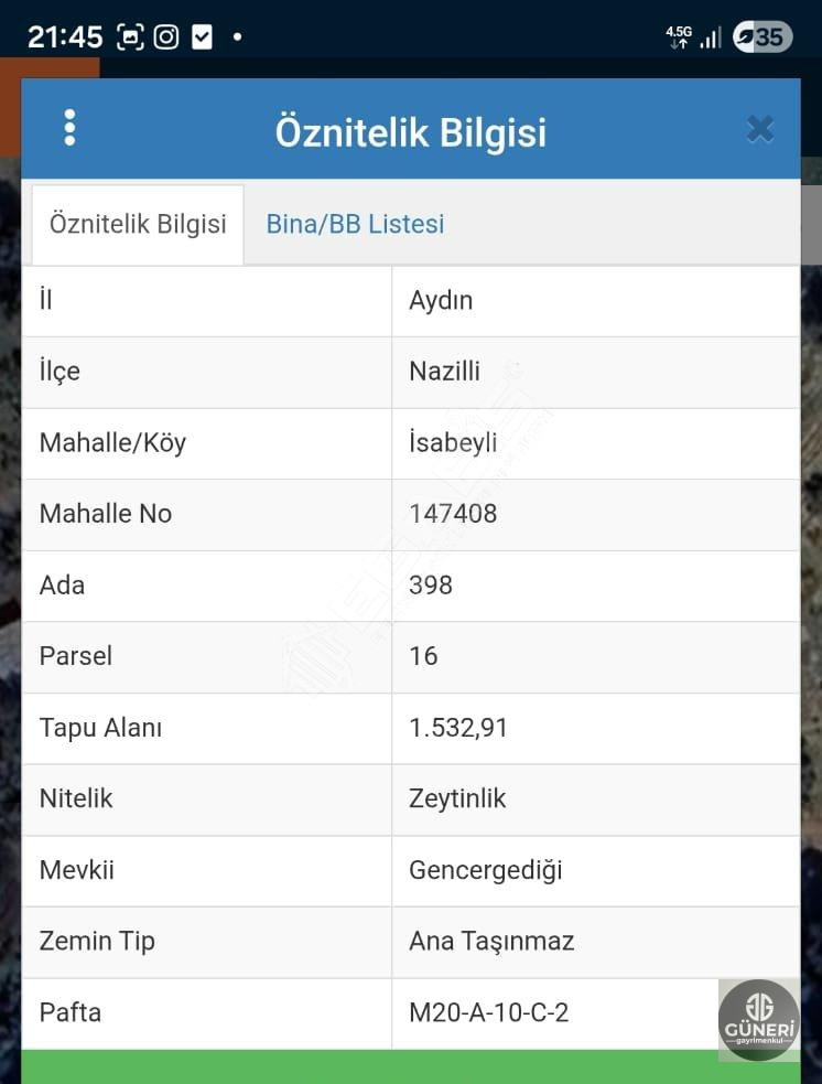 AYDIN NAZİLLİ İSABEYLİ MAHALLESİNDE SATILIK ZEYTİNLİK