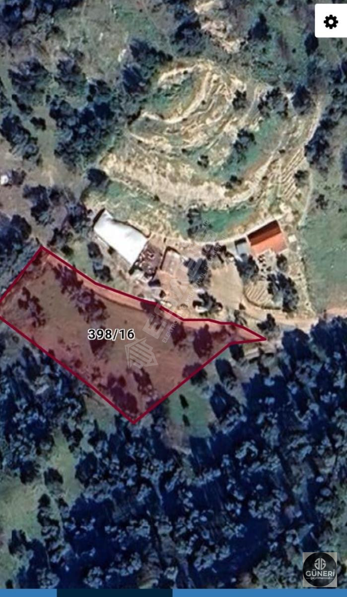 AYDIN NAZİLLİ İSABEYLİ MAHALLESİNDE SATILIK ZEYTİNLİK - 2