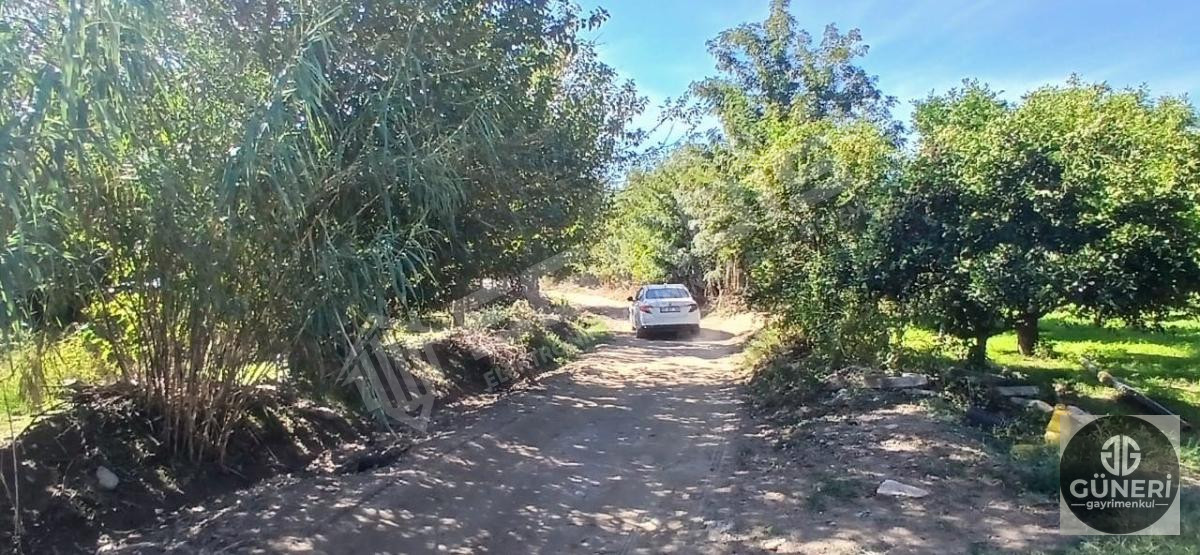 AYDIN NAZİLLİ İSABEYLİ MAHALLESİNDE SATILIK HOBİ BAHÇESİ - 8