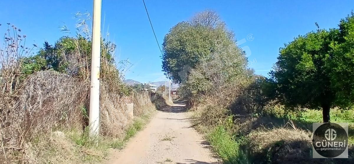 AYDIN NAZİLLİ İSABEYLİ MAHALLESİNDE SATILIK HOBİ BAHÇESİ - 10