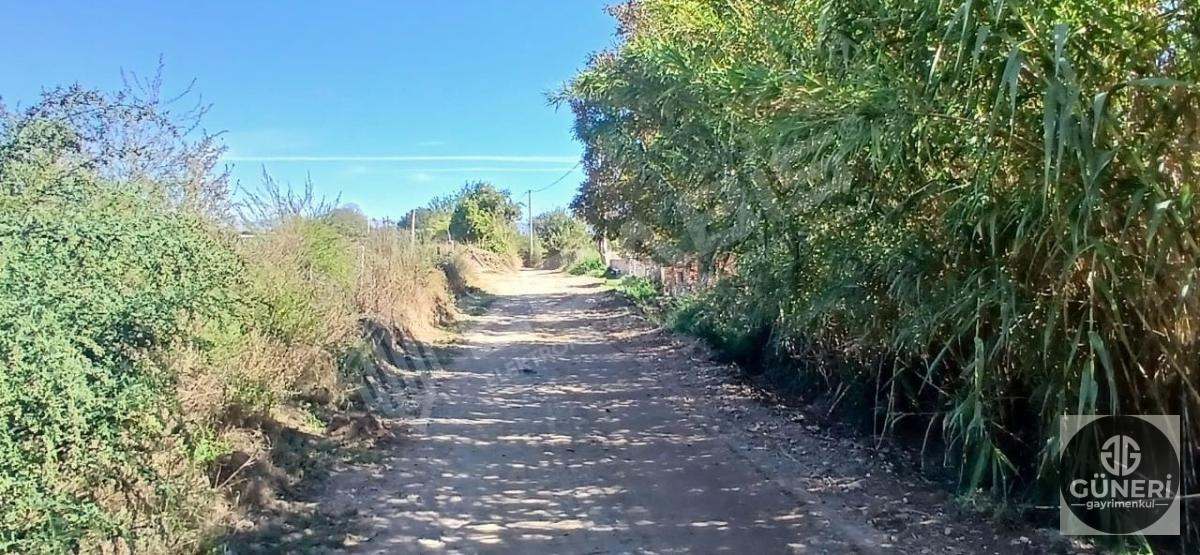 AYDIN NAZİLLİ İSABEYLİ MAHALLESİNDE SATILIK HOBİ BAHÇESİ - 12