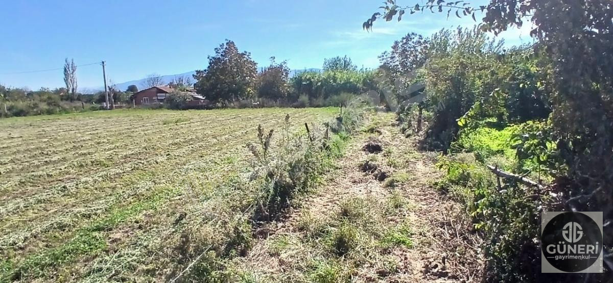 AYDIN NAZİLLİ İSABEYLİ MAHALLESİNDE SATILIK HOBİ BAHÇESİ - 14