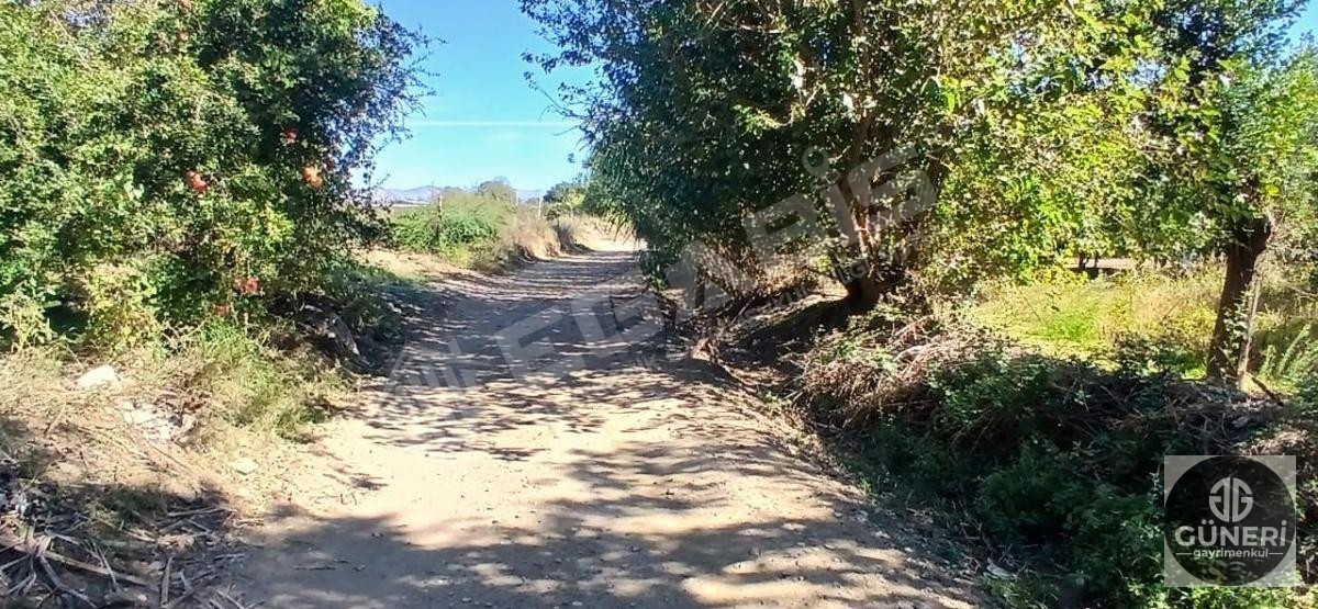 AYDIN NAZİLLİ İSABEYLİ MAHALLESİNDE SATILIK HOBİ BAHÇESİ - 15