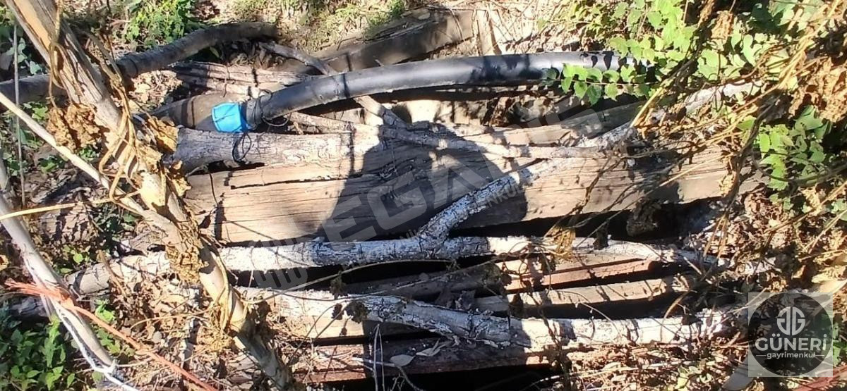 AYDIN NAZİLLİ İSABEYLİ MAHALLESİNDE SATILIK HOBİ BAHÇESİ - 16