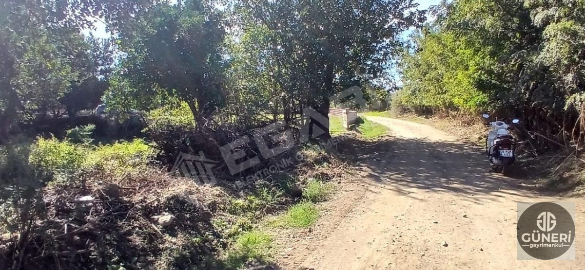 AYDIN NAZİLLİ İSABEYLİ MAHALLESİNDE SATILIK HOBİ BAHÇESİ - 19