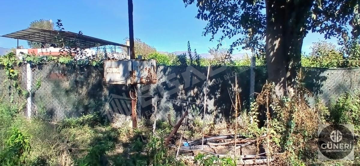 AYDIN NAZİLLİ İSABEYLİ MAHALLESİNDE SATILIK HOBİ BAHÇESİ - 21