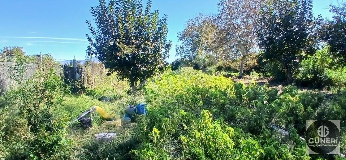 AYDIN NAZİLLİ İSABEYLİ MAHALLESİNDE SATILIK HOBİ BAHÇESİ - 22