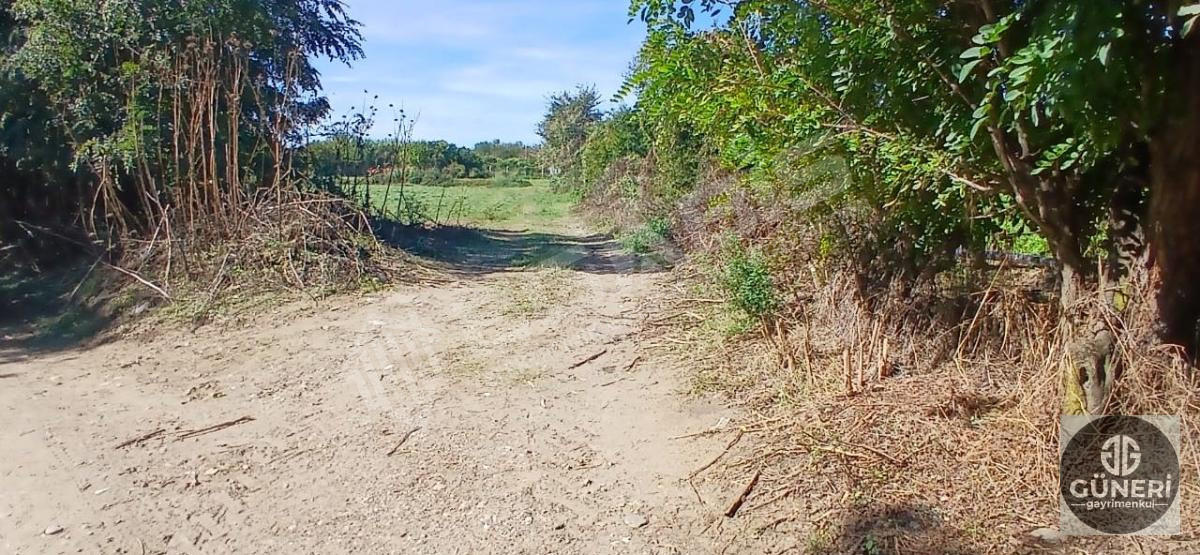 AYDIN NAZİLLİ İSABEYLİ MAHALLESİNDE SATILIK HOBİ BAHÇESİ - 23