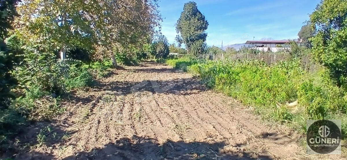 AYDIN NAZİLLİ İSABEYLİ MAHALLESİNDE SATILIK HOBİ BAHÇESİ - 24