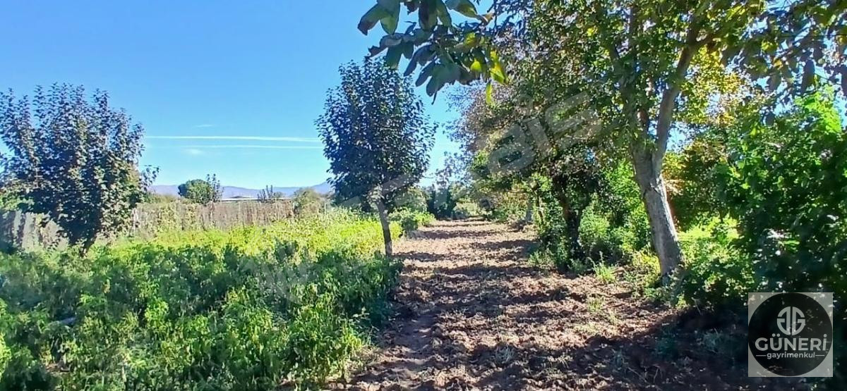 AYDIN NAZİLLİ İSABEYLİ MAHALLESİNDE SATILIK HOBİ BAHÇESİ - 25