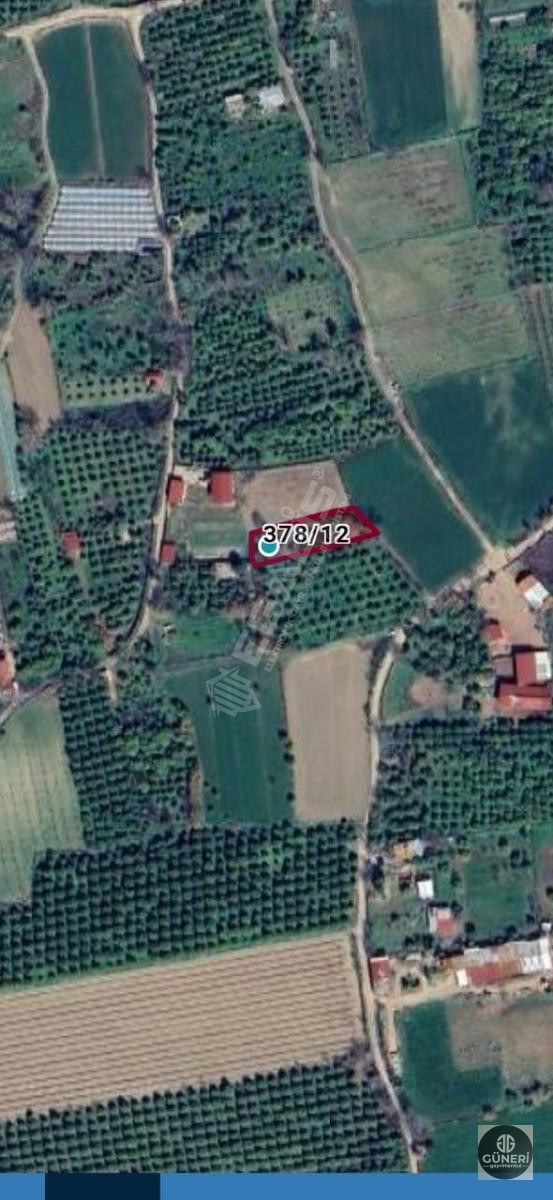 AYDIN NAZİLLİ İSABEYLİ MAHALLESİNDE SATILIK HOBİ BAHÇESİ