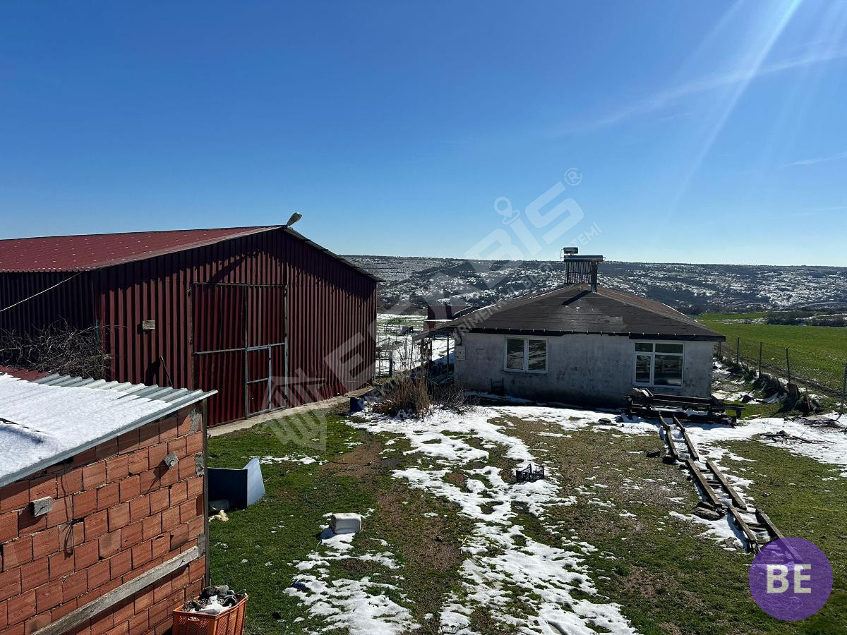 Edirne Lalapaşa Büyünlü Satılık Ruhsatlı Çiftlik - 4