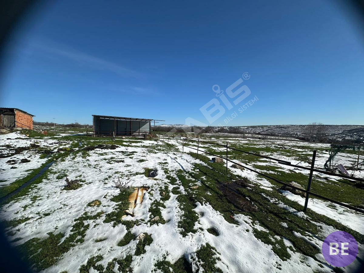 Edirne Lalapaşa Büyünlü Satılık Ruhsatlı Çiftlik - 11