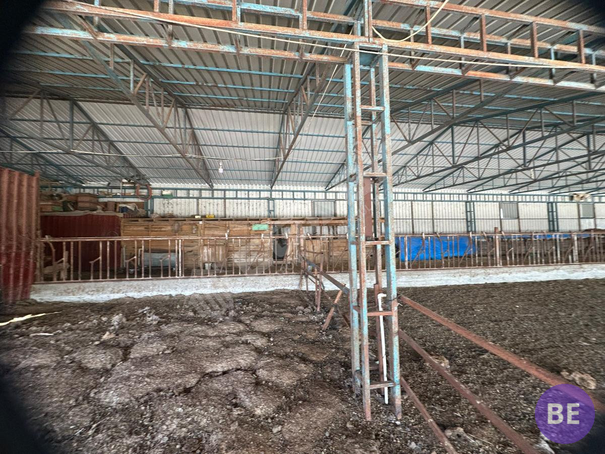 Edirne Lalapaşa Büyünlü Satılık Ruhsatlı Çiftlik - 18