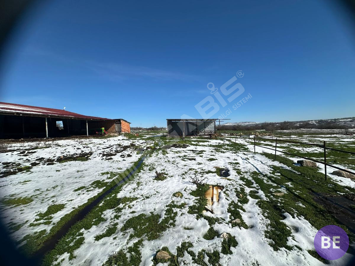 Edirne Lalapaşa Büyünlü Satılık Ruhsatlı Çiftlik - 20