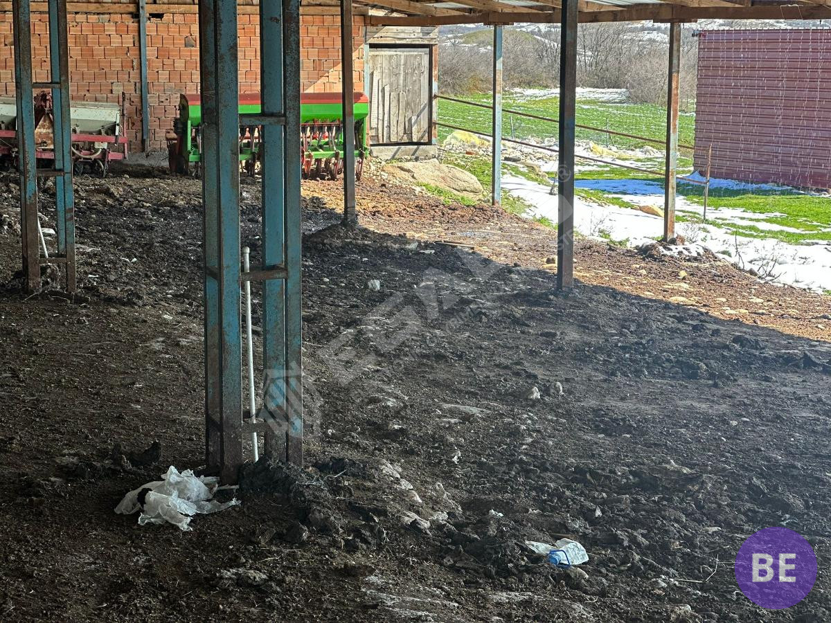 Edirne Lalapaşa Büyünlü Satılık Ruhsatlı Çiftlik - 23