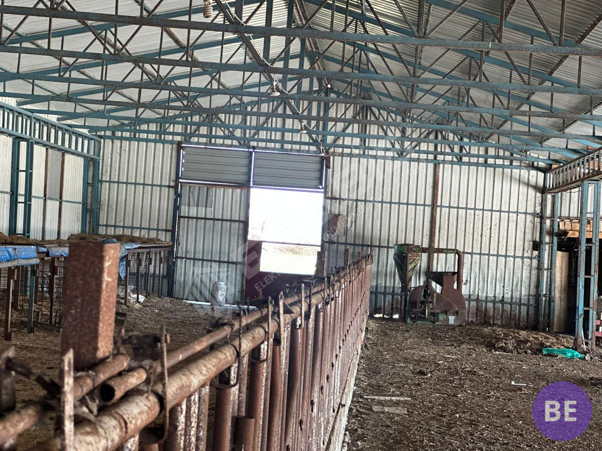 Edirne Lalapaşa Büyünlü Satılık Ruhsatlı Çiftlik - 24