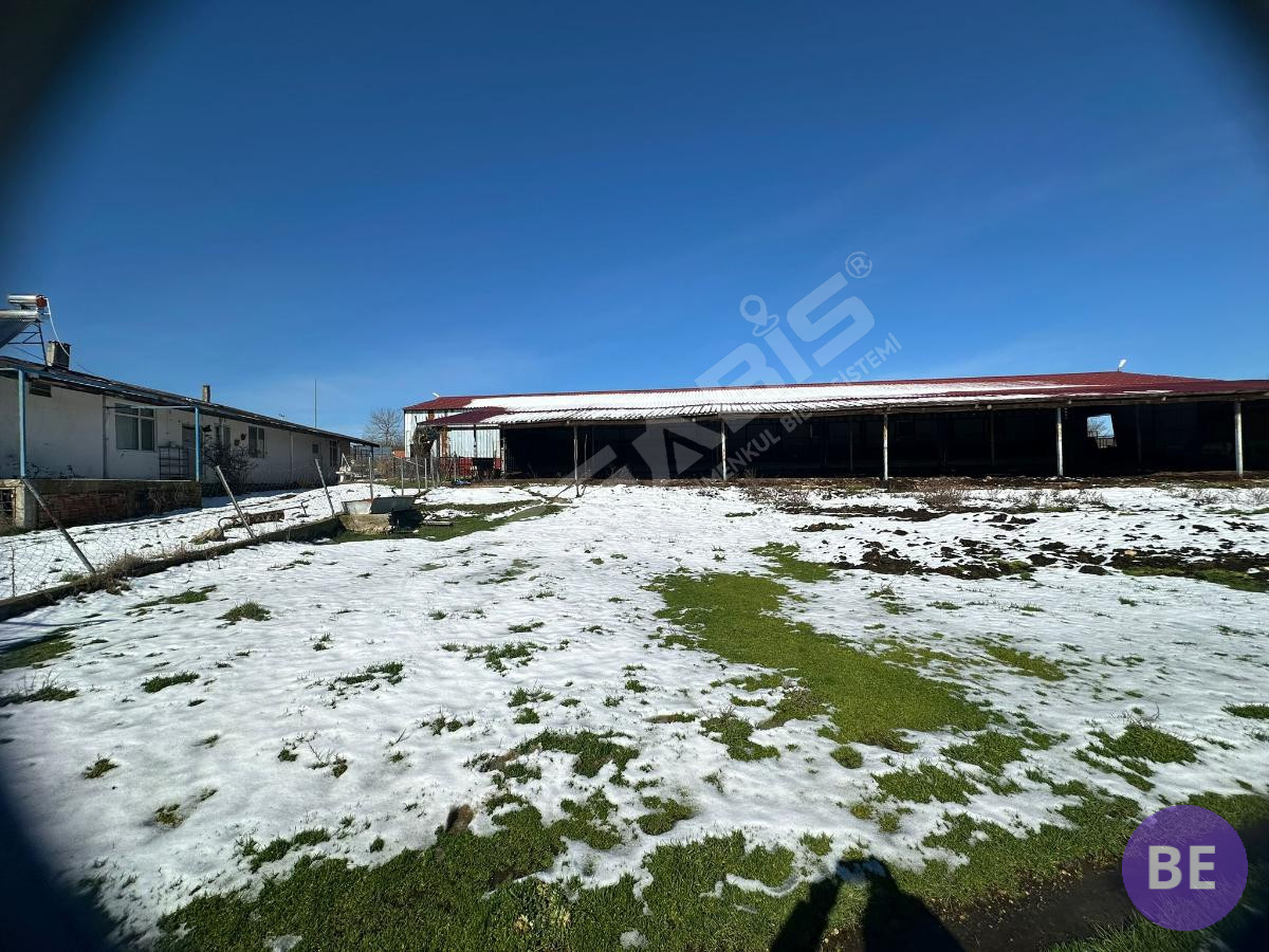 Edirne Lalapaşa Büyünlü Satılık Ruhsatlı Çiftlik - 29