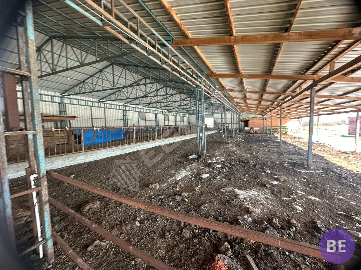 Edirne Lalapaşa Büyünlü Satılık Ruhsatlı Çiftlik - 34