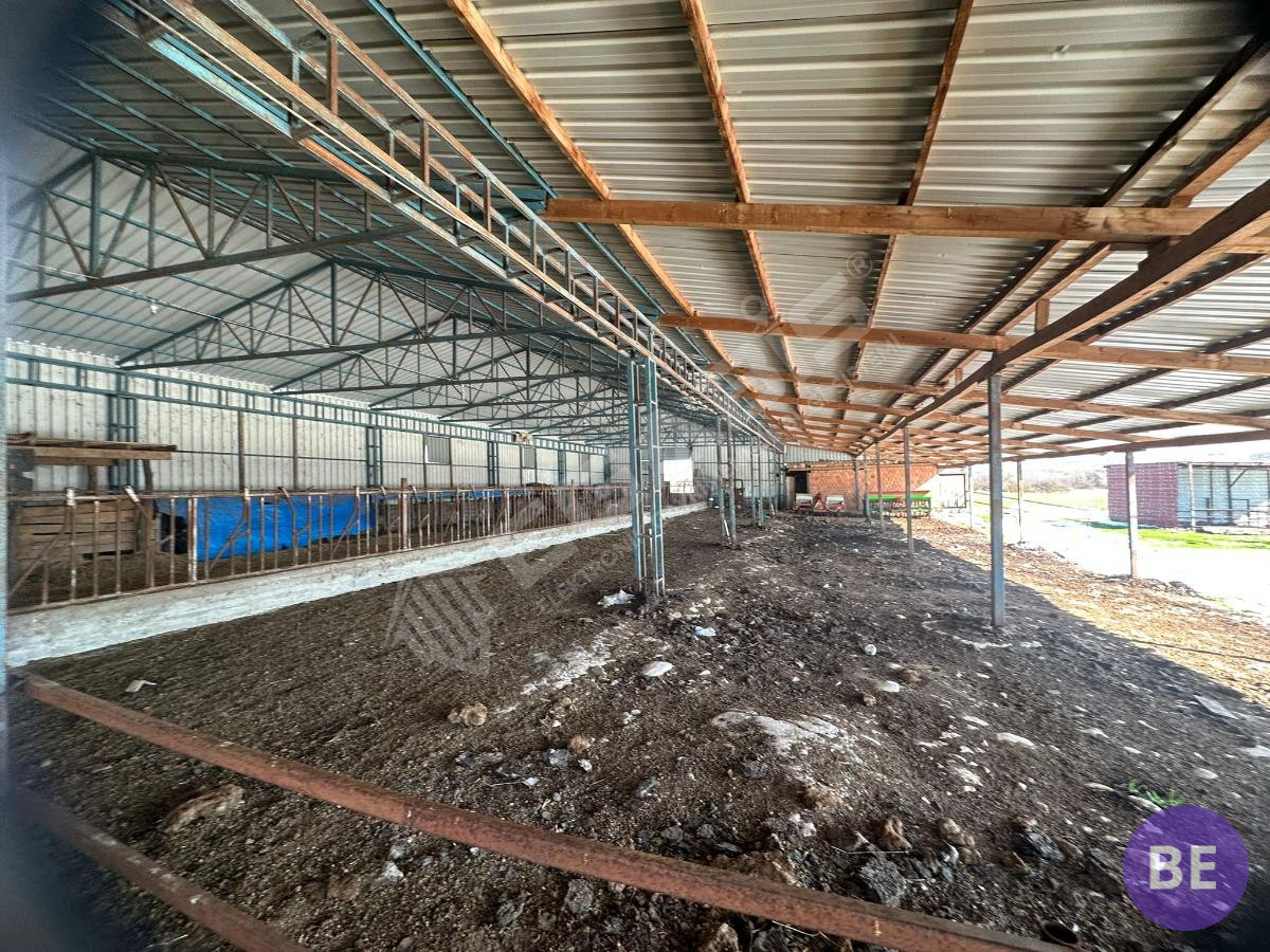 Edirne Lalapaşa Büyünlü Satılık Ruhsatlı Çiftlik - 36