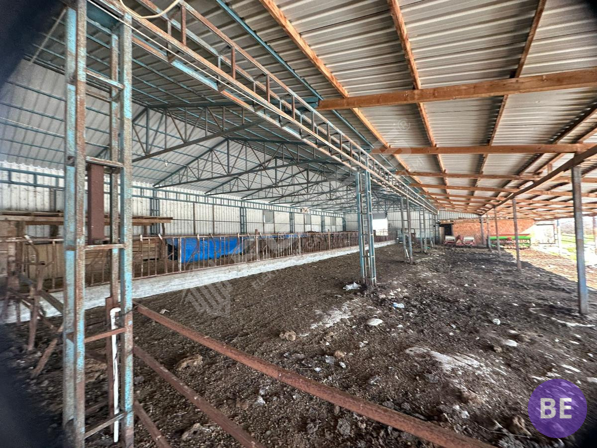 Edirne Lalapaşa Büyünlü Satılık Ruhsatlı Çiftlik - 38
