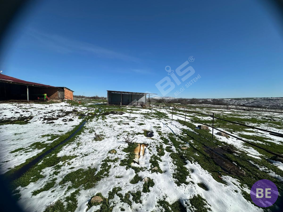 Edirne Lalapaşa Büyünlü Satılık Ruhsatlı Çiftlik - 40