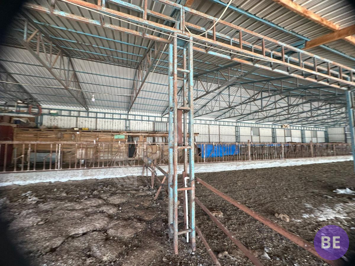 Edirne Lalapaşa Büyünlü Satılık Ruhsatlı Çiftlik - 48