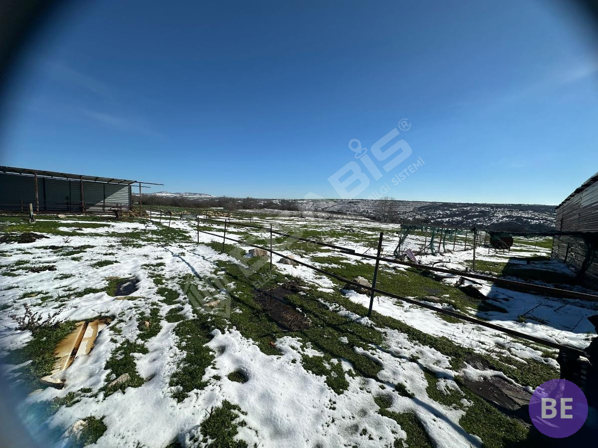 Edirne Lalapaşa Büyünlü Satılık Ruhsatlı Çiftlik - 49