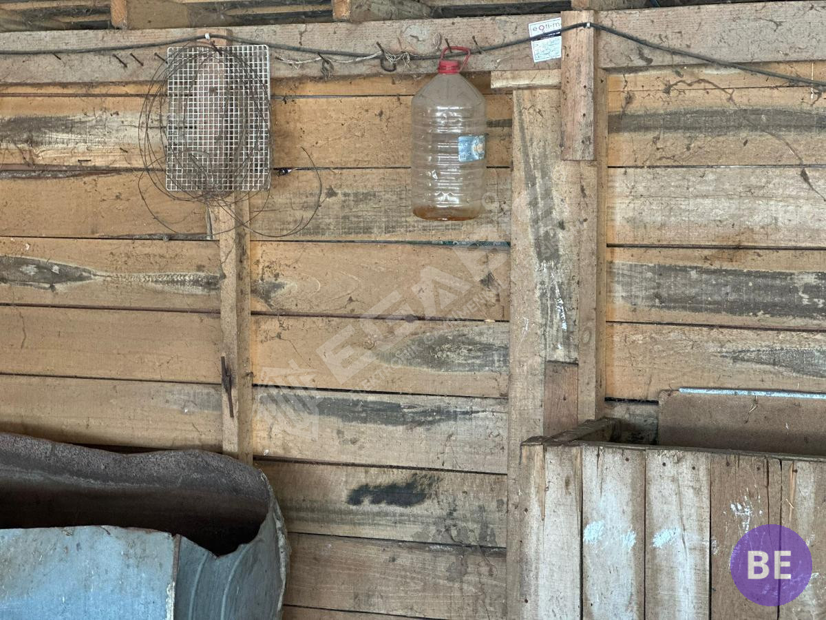 Edirne Lalapaşa Büyünlü Satılık Ruhsatlı Çiftlik - 54