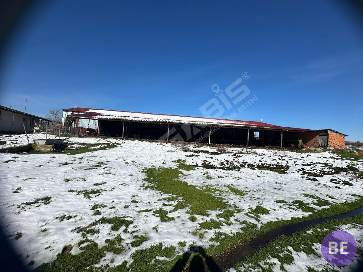 Edirne Lalapaşa Büyünlü Satılık Ruhsatlı Çiftlik - 55