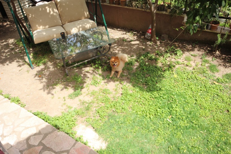 Edremit Güre Cumhuriyet Mah`da3+1  Villa. - 16