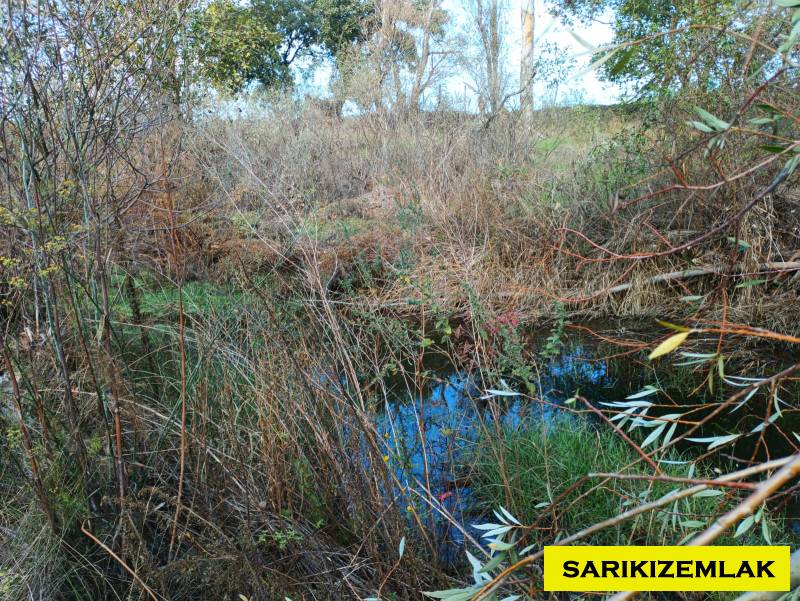 Ezine Bahçeli Köyü`daTarla.