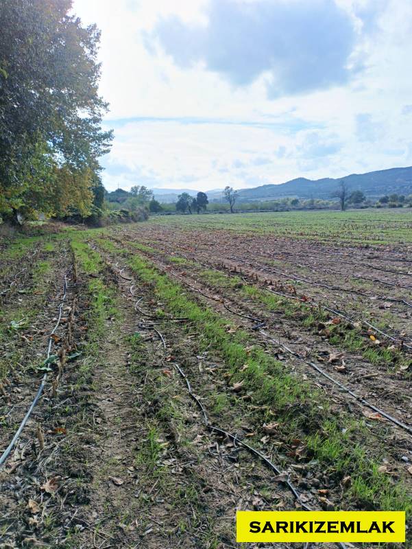 Ezine Bahçeli Köyü`daTarla. - 7