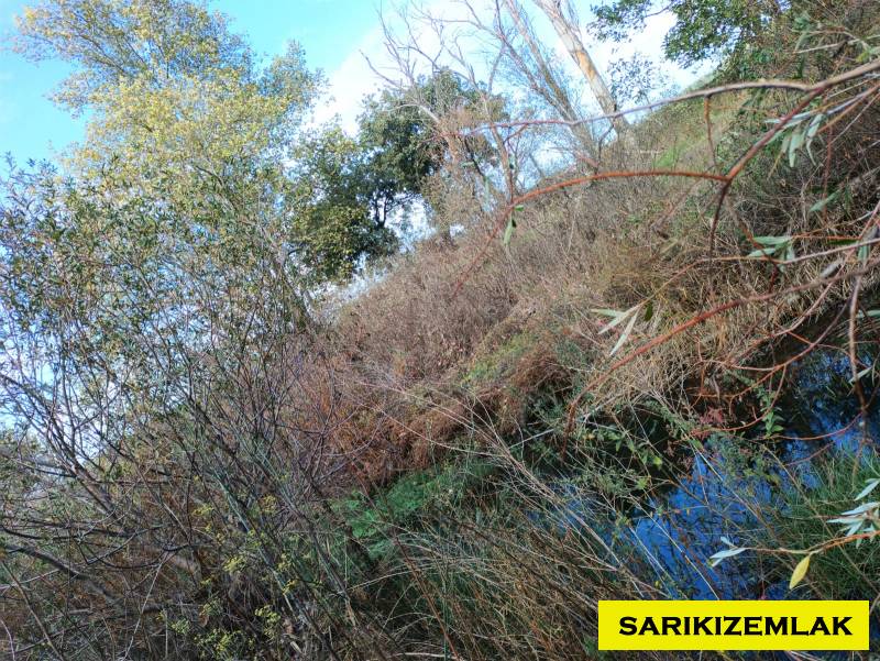 Ezine Bahçeli Köyü`daTarla. - 5