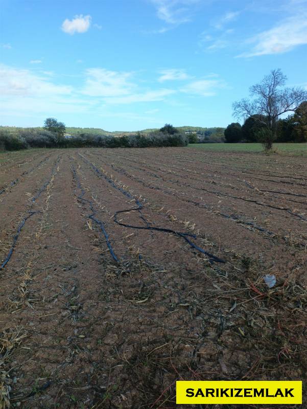 Ezine Bahçeli Köyü`daTarla. - 6