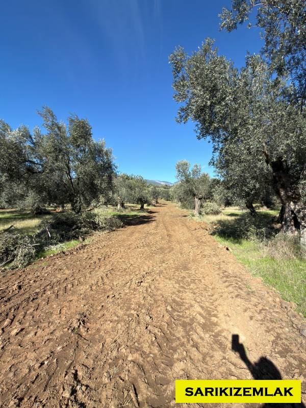 Edremit Kızılkeçili Mah`daBağ & Bahçe.