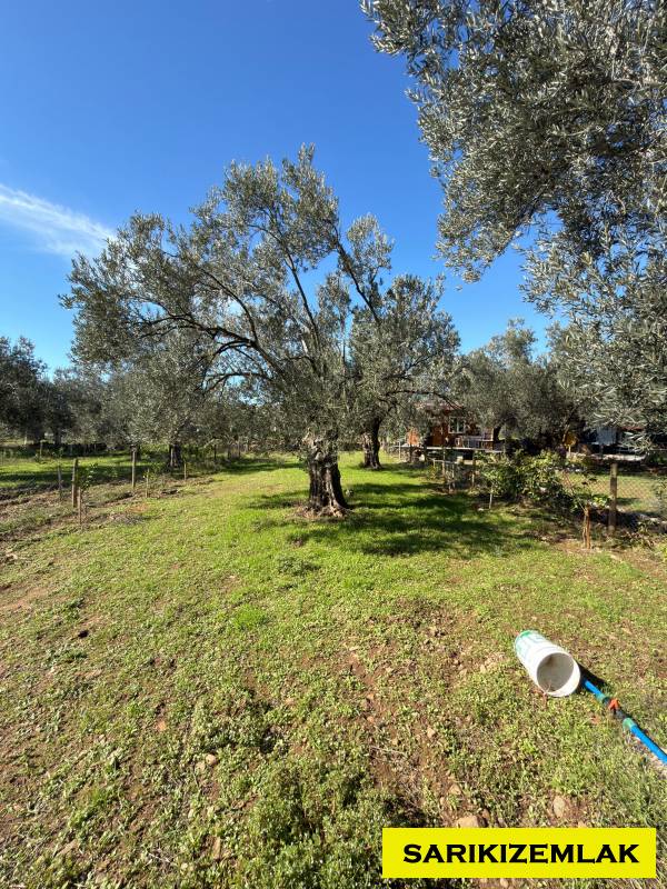 Edremit Kızılkeçili Mah`daBağ & Bahçe. - 4