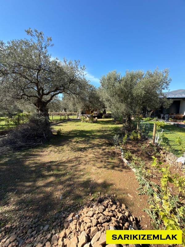 Edremit Kızılkeçili Mah`daBağ & Bahçe. - 5