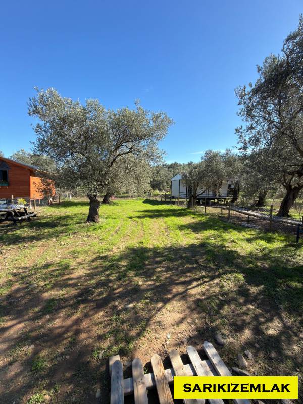 Edremit Kızılkeçili Mah`daBağ & Bahçe. - 7