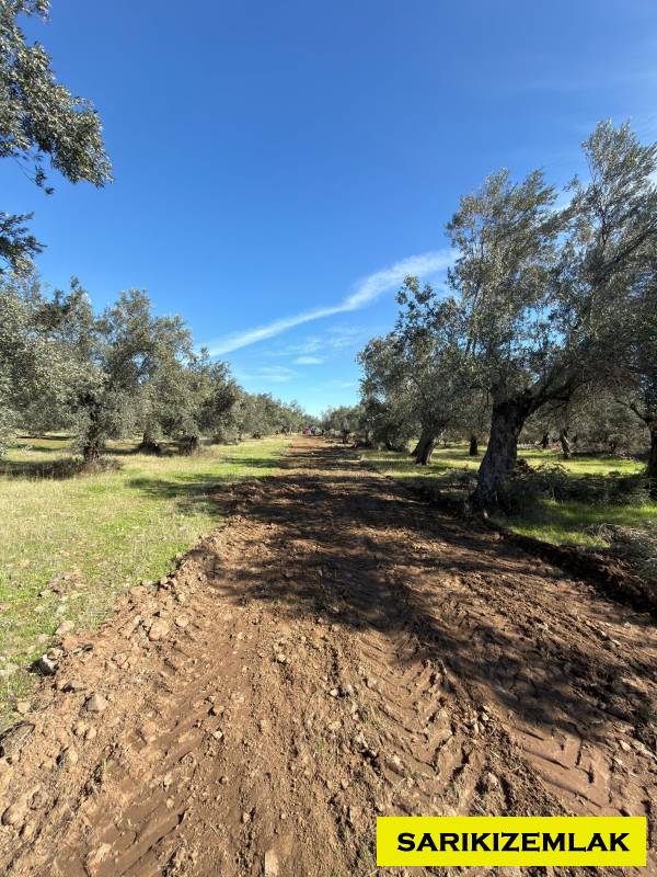 Edremit Kızılkeçili Mah`daBağ & Bahçe. - 8