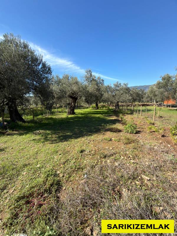 Edremit Kızılkeçili Mah`daBağ & Bahçe. - 9