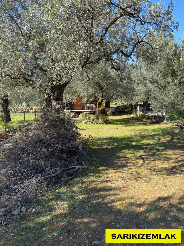 Edremit Kızılkeçili Mah`daBağ & Bahçe. - 10