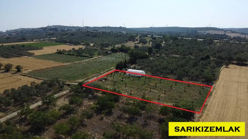 Merkez Erenköy Merkez Mah (Erenköy Köyü)`daTarla. - 3