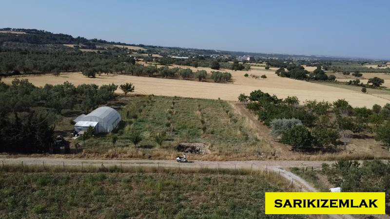 Merkez Erenköy Merkez Mah (Erenköy Köyü)`daTarla. - 5