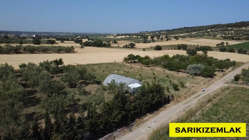 Merkez Erenköy Merkez Mah (Erenköy Köyü)`daTarla. - 6